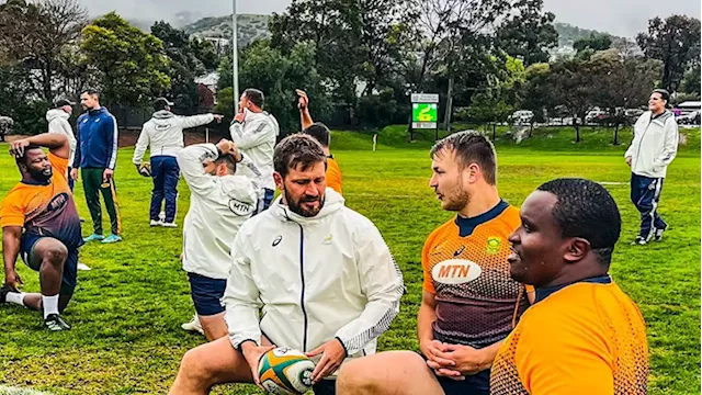 Springboks hope to improve on their dismal record against the Wallabies in Australia - SABC News - Breaking news, special reports, world, business, sport coverage of all South African current events. Africa's news leader.