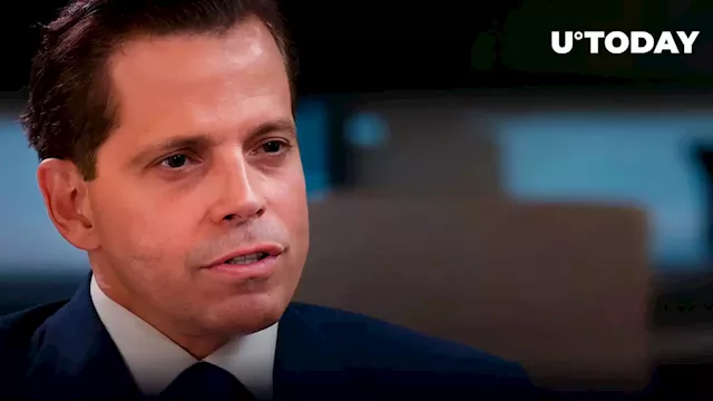 Anthony Scaramucci Says There's Ton of Short Positions on Crypto Market