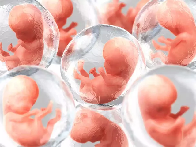 A biotech company wants to take human DNA and create artificial embryos that could be used to harvest organs for medical transplants | Businessinsider