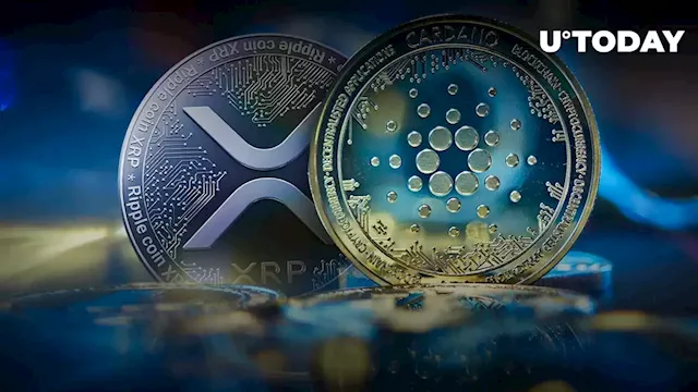 XRP and Cardano (ADA) Managed to Attract Positive Flows Last Week Despite Crypto Market Drop