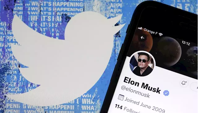 Business Maverick: Musk gets a potential boost with Twitter whistle-blower’s claims