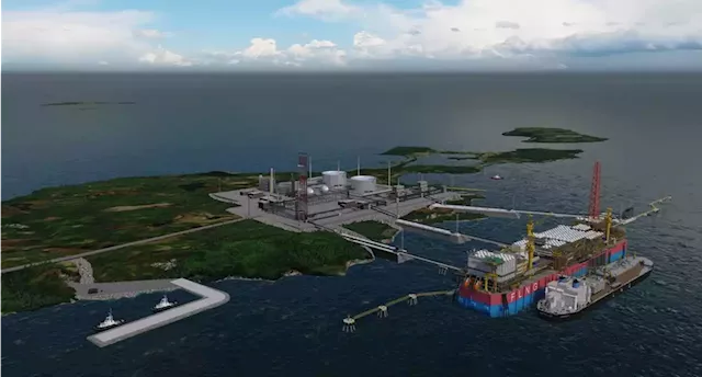 Newfoundland CEO says company can make a strong case for Placentia Bay LNG project | SaltWire