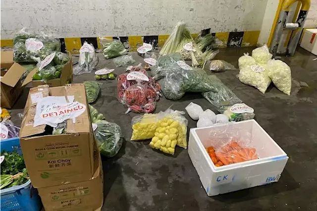 Company fined $5,000 for illegally importing 378kg of fresh fruits and vegetables