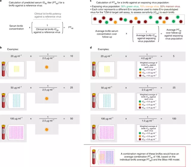 Neutralization titer biomarker for antibody-mediated prevention of HIV-1 acquisition - Nature Medicine