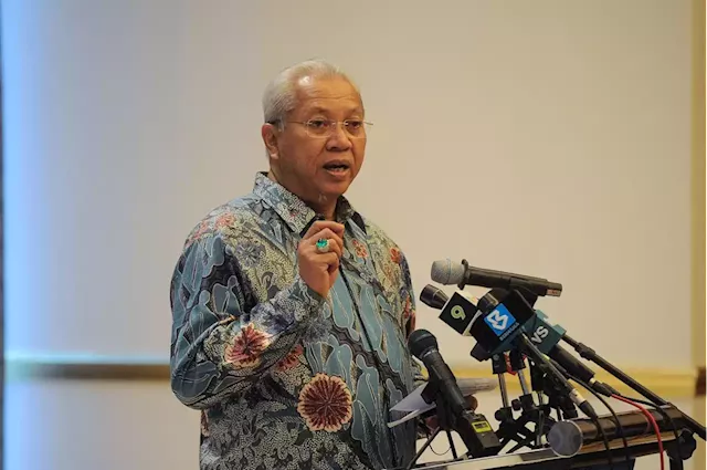 Gov't to prioritise chicken supply for domestic market - Annuar