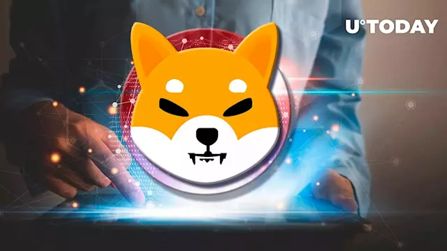 Shiba Inu Trading Volumes Add 114% in Day as Millions Enter Market Cap