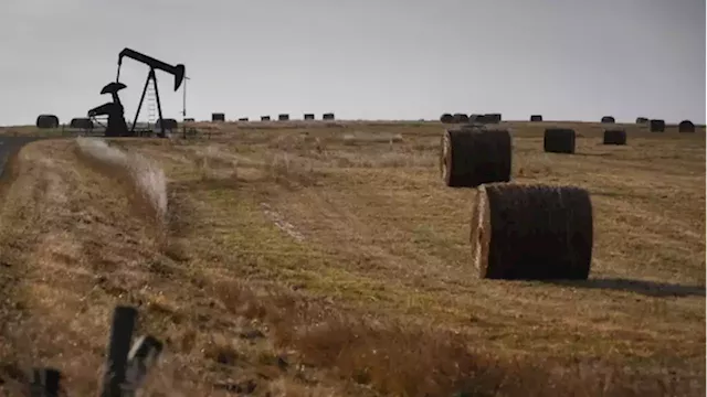 Rural Alberta frustrated with oil and gas 'bad actors' not paying tax as industry swims in cash | CBC News