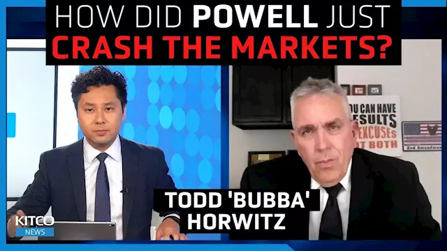 The Fed has never done this in history, expect another 50% market crash - Todd Horwitz