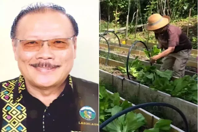 Kadazandusun Chamber of Commerce and Industry to aid in urban farming, says President | Daily Express Online - Sabah's Leading News Portal