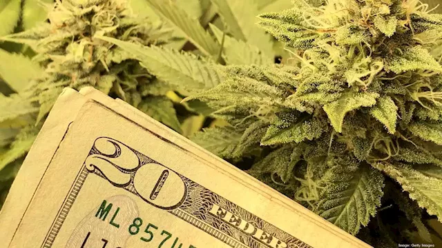 How Cogent Bank is entering the cannabis market - Jacksonville Business Journal