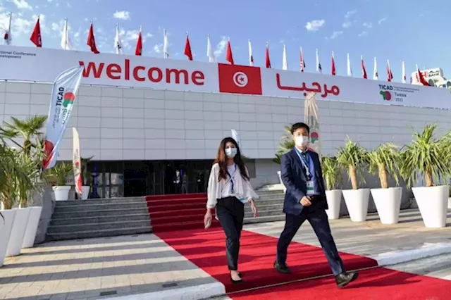 Tunis hosts Japan-Africa investment conference