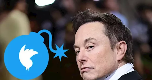 Twitter Whistleblower's Shocking Claims Could Impact Company's Legal War with Elon Musk