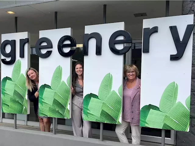 Business is 'blooming' for Calgary-based Greenery Office Interiors