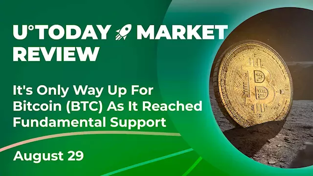 It's Only up for Bitcoin (BTC) as It Reached Fundamental Support: Crypto Market Review, August 29