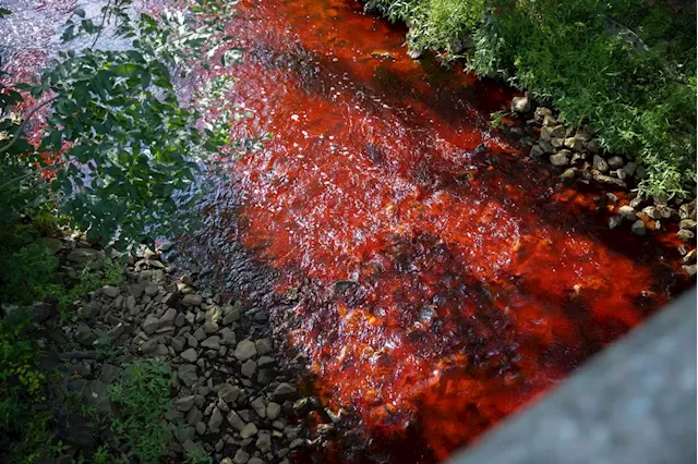 Beverage packing company dumped dye that turned N.J. creek red, officials say