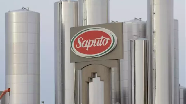 Saputo reports net earnings of $139M - BNN Bloomberg