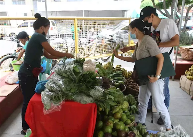 Organic Farmer’s Market