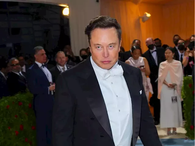 Elon Musk's countersuit against Twitter says the company misrepresented itself and misled him | Businessinsider