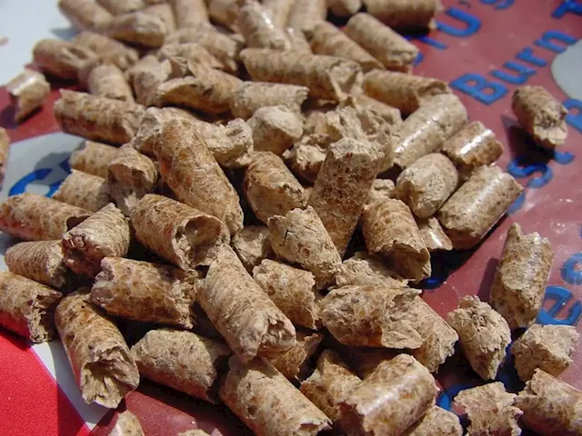 U.K. power producer increases stake in B.C. wood-pellet industry