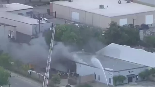 Massive fire at NW Side business leads to evacuation of 80 dogs at nearby facility, SAFD says