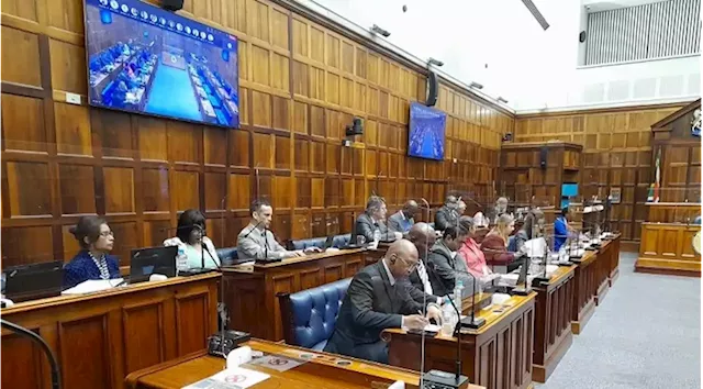 Western Cape Legislature suspends activities due to passing of DA Chief Whip Botha - SABC News - Breaking news, special reports, world, business, sport coverage of all South African current events. Africa's news leader.