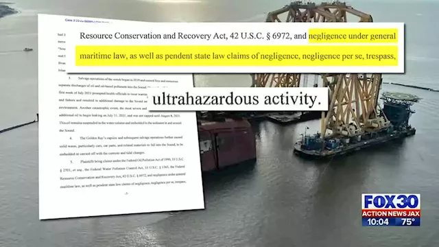 Brunswick-area business owners sue over ‘lost income’ during Golden Ray cleanup