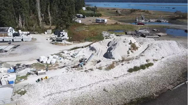 'Before, we would actually pay to get rid of them': Oyster company repurposing discarded shells