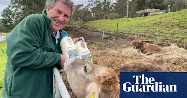 Milking the local market: shaking up the NSW south coast dairy industry