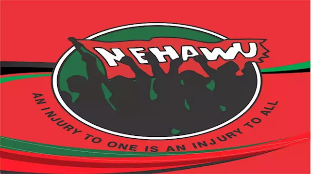 NEHAWU adds its voice to the calls for universal income grant - SABC News - Breaking news, special reports, world, business, sport coverage of all South African current events. Africa's news leader.