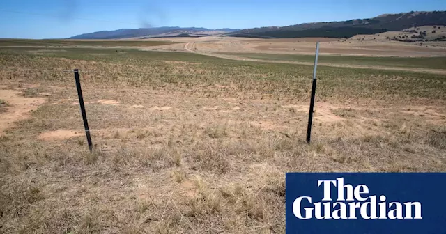 Court upholds finding that company part-owned by Angus Taylor illegally cleared grasslands