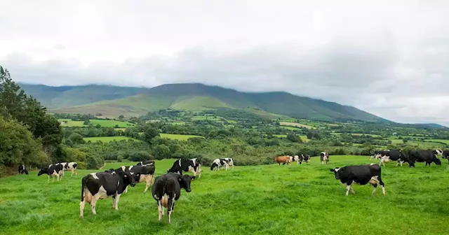 Business optimism in farming and agriculture sector hits five-year low