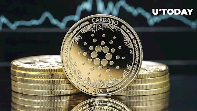 Here's Why Cardano Is Undervalued by Crypto Market