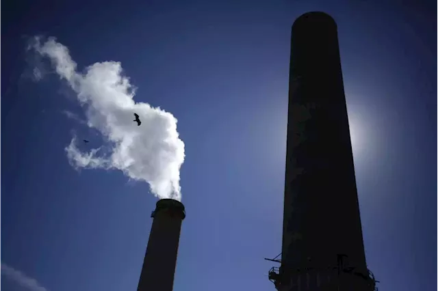 South African business groups seek slower carbon tax rollout