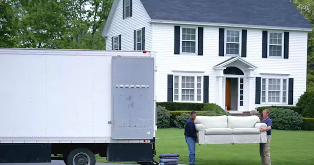 Moving companies: How they work and how much they cost