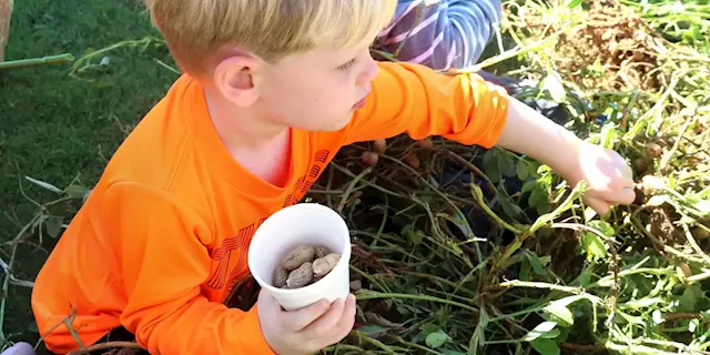 Annual Fall Harvest Day coming to the Enterprise Farmers Market