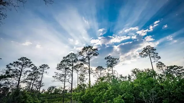 John Gibbons: Empty carbon offsetting promises mean it’s business as usual for the polluters