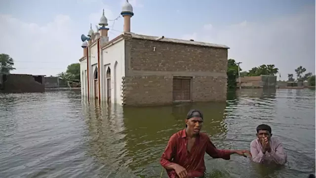 Pakistan floods show need for action on climate finance, say developing countries | CBC News