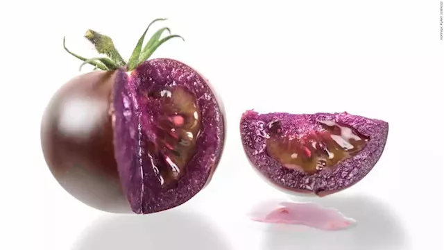 A new, genetically modified purple tomato may hit the grocery market stands