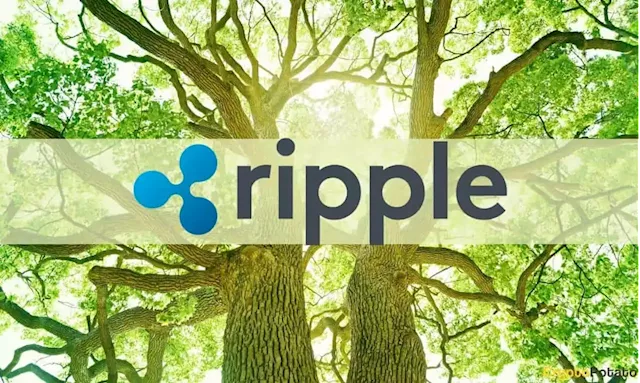 Market Watch: Ripple Soars 8%, Bitcoin Dropped to Weekly Lows