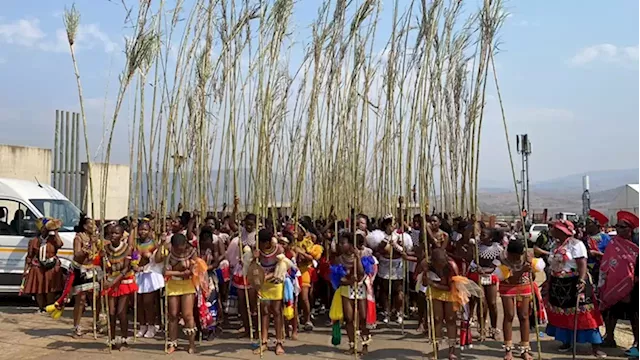 KZN Reed Dance In Pictures: Umkhosi WoMhlanga - SABC News - Breaking news, special reports, world, business, sport coverage of all South African current events. Africa's news leader.