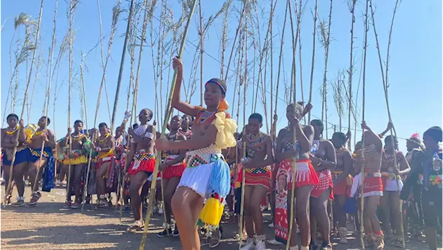 Tensions run high at AmaZulu Royal House ahead of second Reed Dance - SABC News - Breaking news, special reports, world, business, sport coverage of all South African current events. Africa's news leader.