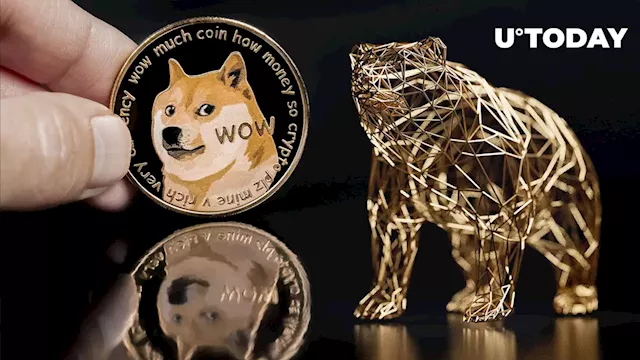 Dogecoin (DOGE) Co-founder Has Something To Say About Bear Market