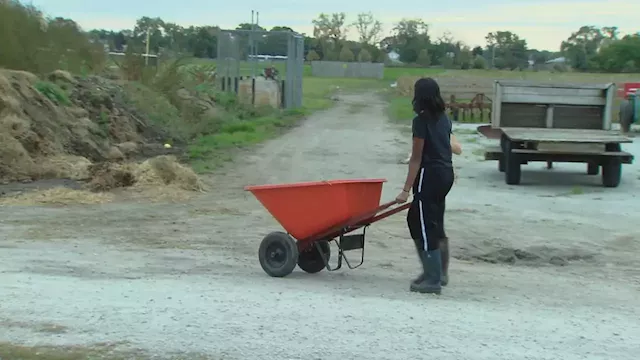 Lack of Young Farmers a Concern for Agricultural Industry