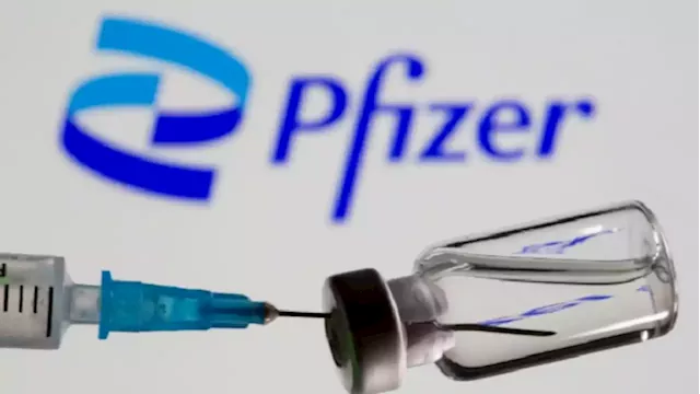 Brazil approves Pfizer vaccine for children as young as six months - SABC News - Breaking news, special reports, world, business, sport coverage of all South African current events. Africa's news leader.