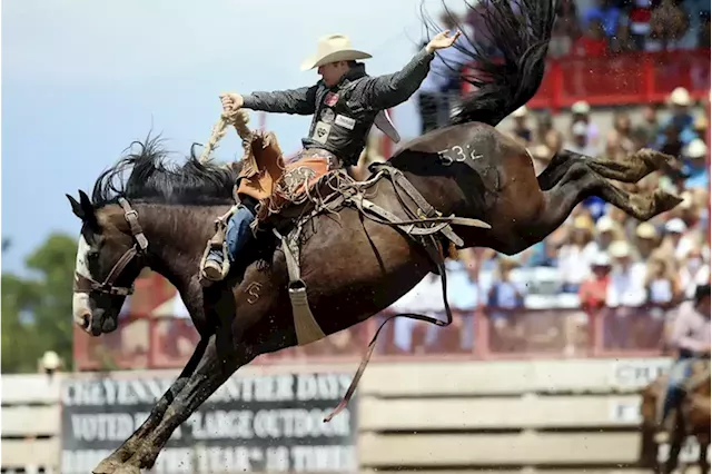 Skill games company woos Pa. lawmakers with trips to wild Wyoming rodeo