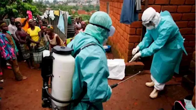 Ghana declares end of Marburg virus outbreak - SABC News - Breaking news, special reports, world, business, sport coverage of all South African current events. Africa's news leader.