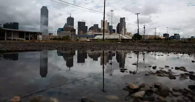 After a decade of hype, Dallas-Houston bullet train developer faces a leadership exodus as land acquisition slows