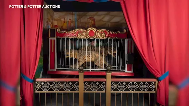 Museum of Science and Industry closing circus exhibit, with items going up for auction