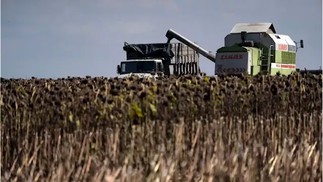 Front line farming: Bombs disrupt critical Ukraine industry