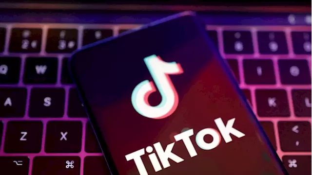 TikTok to verify political accounts in US - SABC News - Breaking news, special reports, world, business, sport coverage of all South African current events. Africa's news leader.